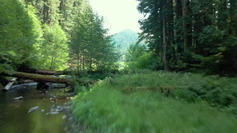 Deslizándose-Sobre-Un-Río-A-Través-De-Los-árboles-Para-Revelar-Una-Vista-Pintoresca-De-Un-Lago-Y-Las-Montañas-En-Cascada,-Antena