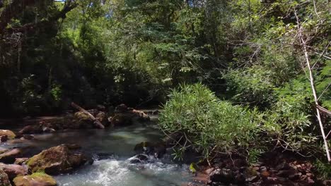 Aerial-shot-of-a-freshwater-stream-covered-with-the-trees