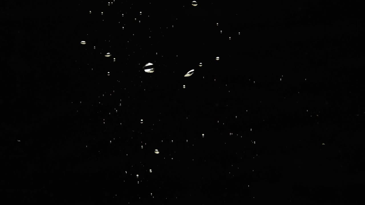 검은 배경에 고립 된 물에 떨어진 맛있는 녹색 포도