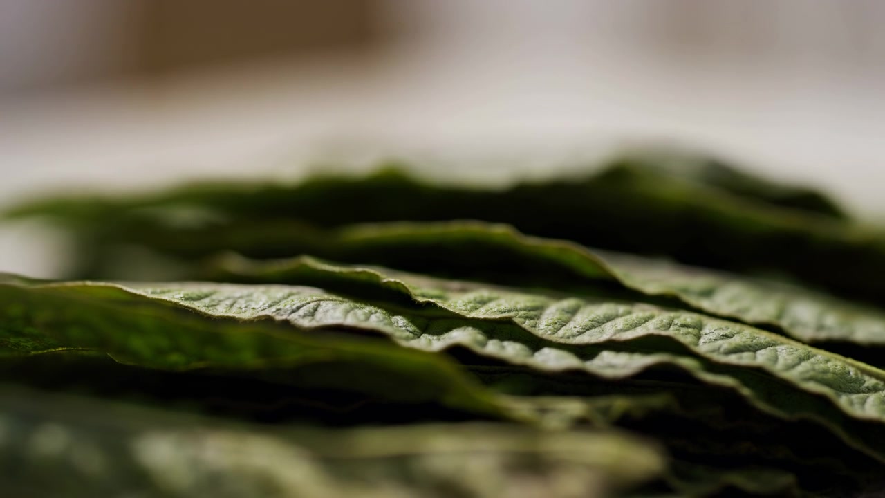 Foglie verdi secche impilate riempiono il primo piano con superfici cartacee e increspate, venature stratificate, bordi arricciati, un colore terroso e smorzato, uno sfondo morbido e sfocato e una tranquilla texture botanica per un tocco naturale e organico.