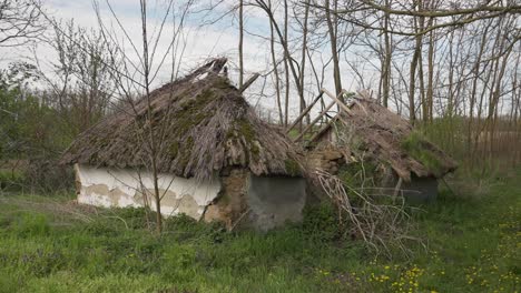 abandoned rural cottage with heavily damaged thatched roof