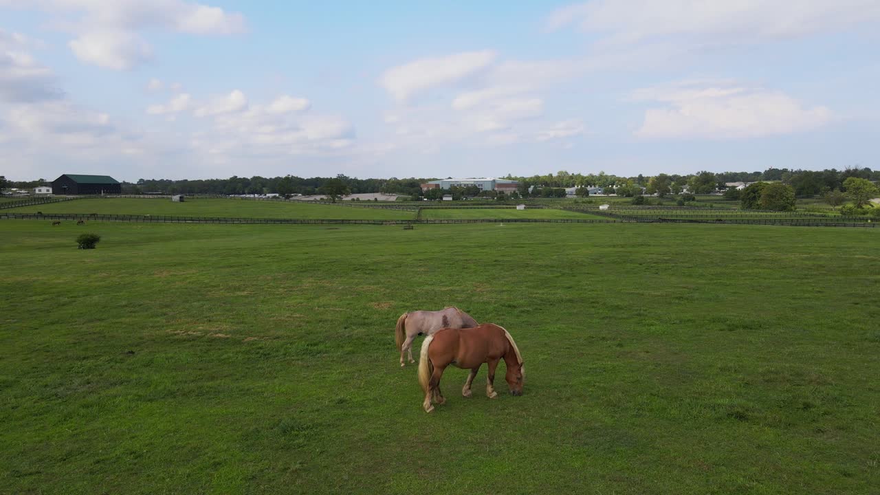 Kentucky Horse Park in Lexington Kentucky, USA - pastures in aerial view