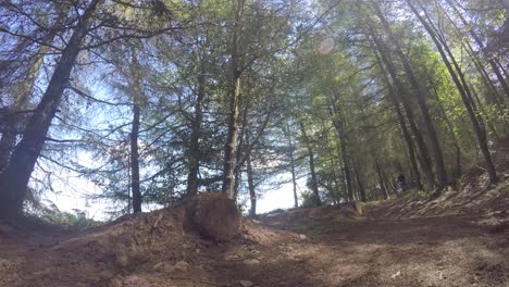 Group-of-Mountain-Bikers-riding-at-high-speed-through-forestry-track,-following-one-after-another-over-dirt-jump