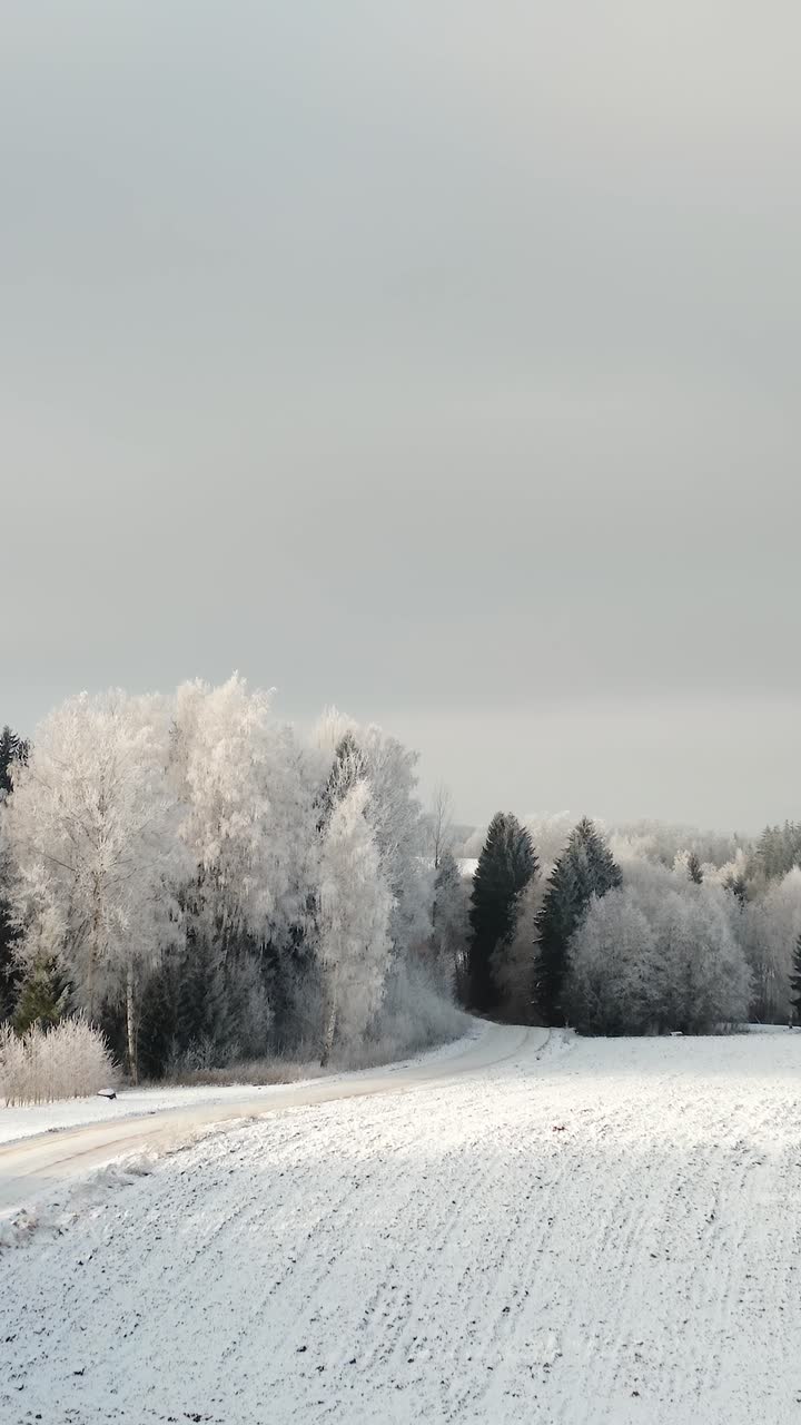 Betagende arktisk vintervejr med rimfrost på træerne langs vejen på landet. Vintereventyrlandskab over et landligt landskab i vertikal luftoptagelse