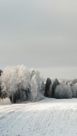 breathtaking artic winter weather with frost on trees along the road in countryside. winter wonderland scenery over rural landscape in vertical aerial.