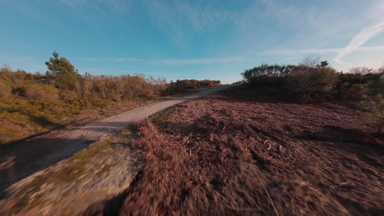Aerial View Of A Deforested Land And Over A Path Dividing Two Areas