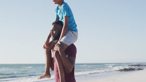 video de un feliz padre y hijo afroamericanos caminando por la playa al atardecer