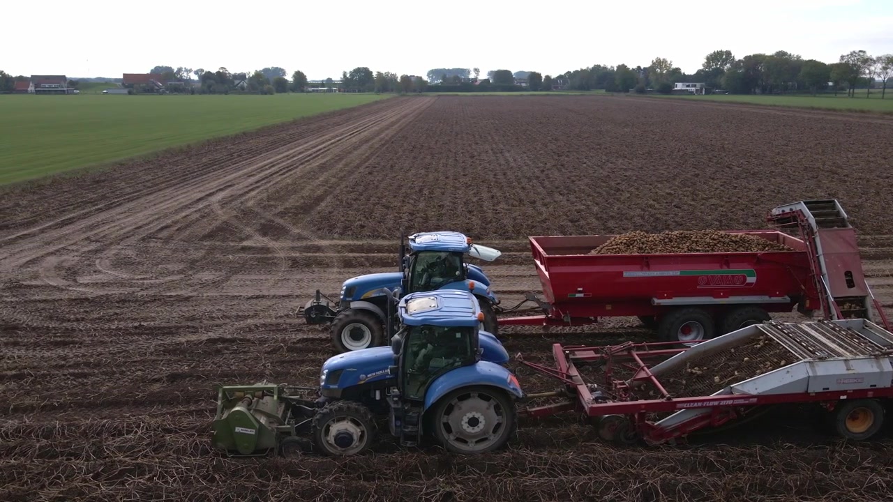 Ripresa aerea di trattori e macchinari agricoli che raccolgono patate