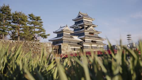 matsumoto castle, nagano japan. early winter establishing shot