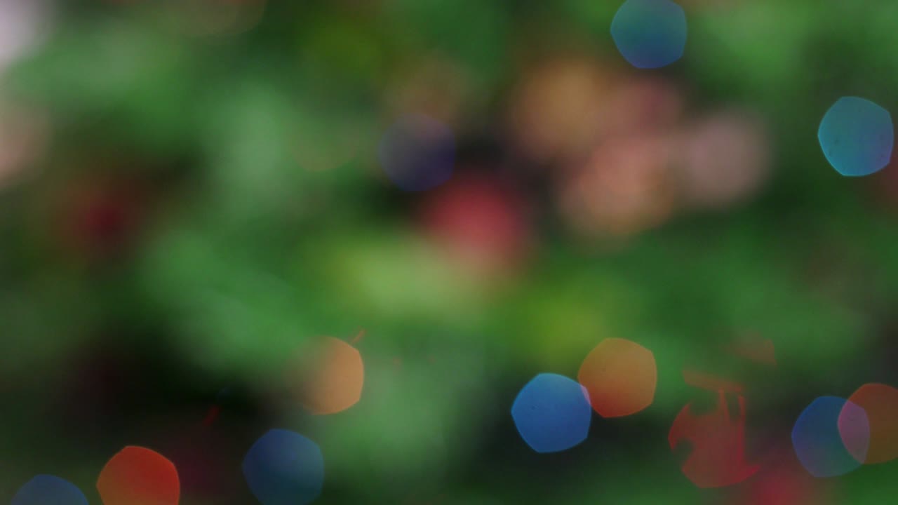 Colorful bokeh of Christmas lights tree. Static
