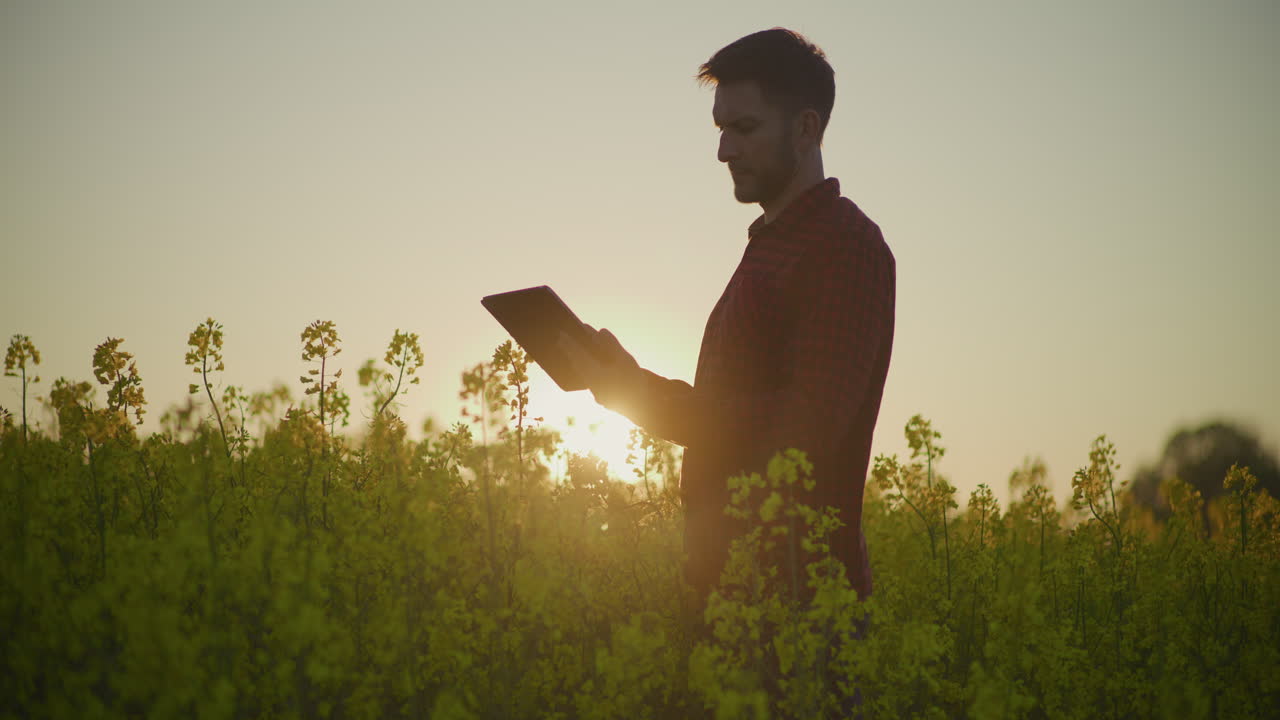 Contadino che usa un tablet digitale al tramonto