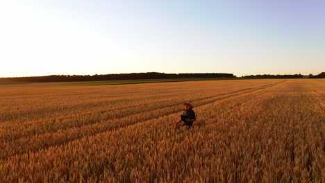 farmer in farmland at sunset. male specialist in straw hat walking on golden field and examining the ripeness of plants in the evening.