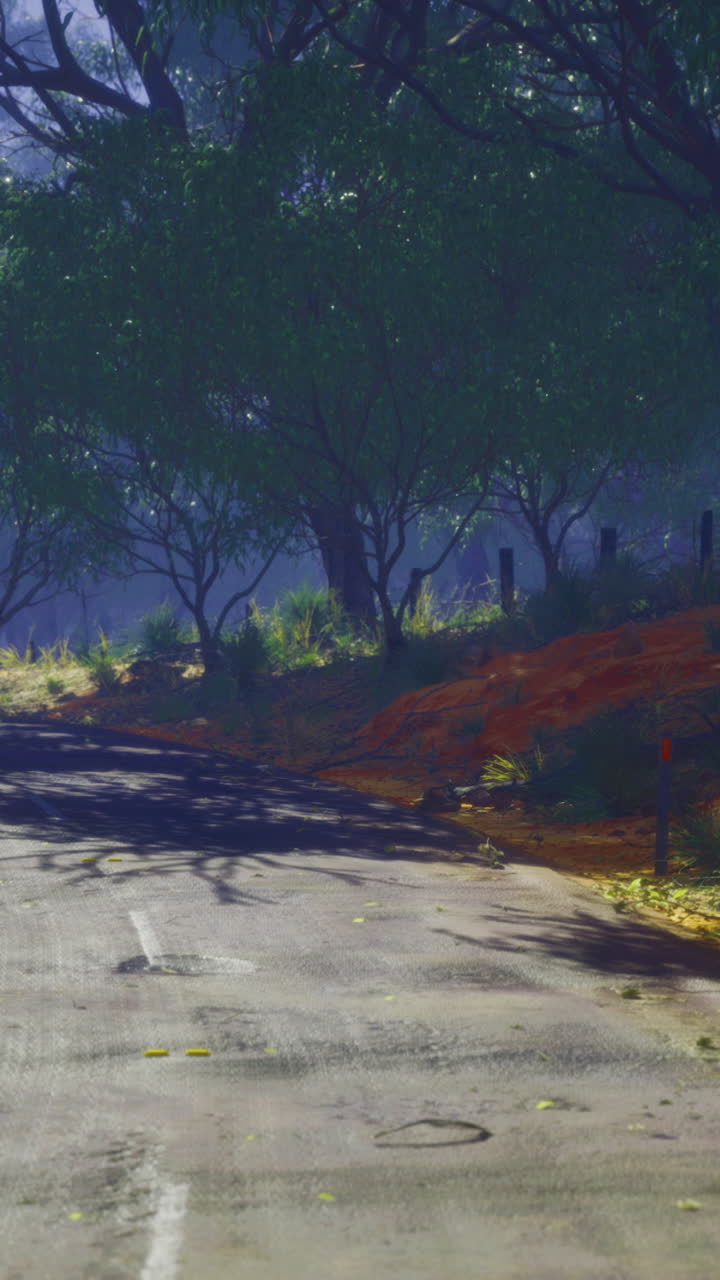 Serene winding road through a tranquil forest under soft morning light