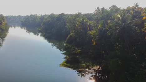 Hermoso-Río-Cielo-Azul-Y-Cocoteros-El