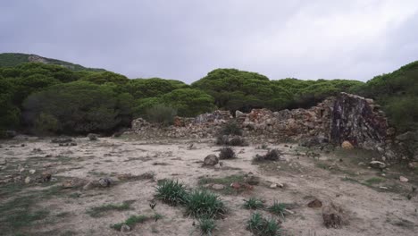 Landscape-of-rocks-and-forest-in-Estepona,-Spain,-tilt-up-view