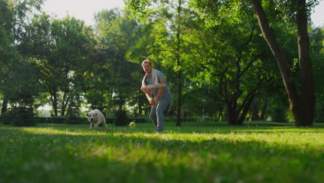 Propietario-Atractivo-Lanzando-Pelota-En-El-Parque.-Perro-Enérgico-Atrapando-Juguete-Con-La-Boca.