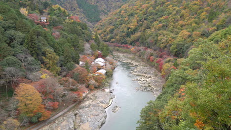 punto de vista del río y el bosque en la temporada de otoño en arashiyama