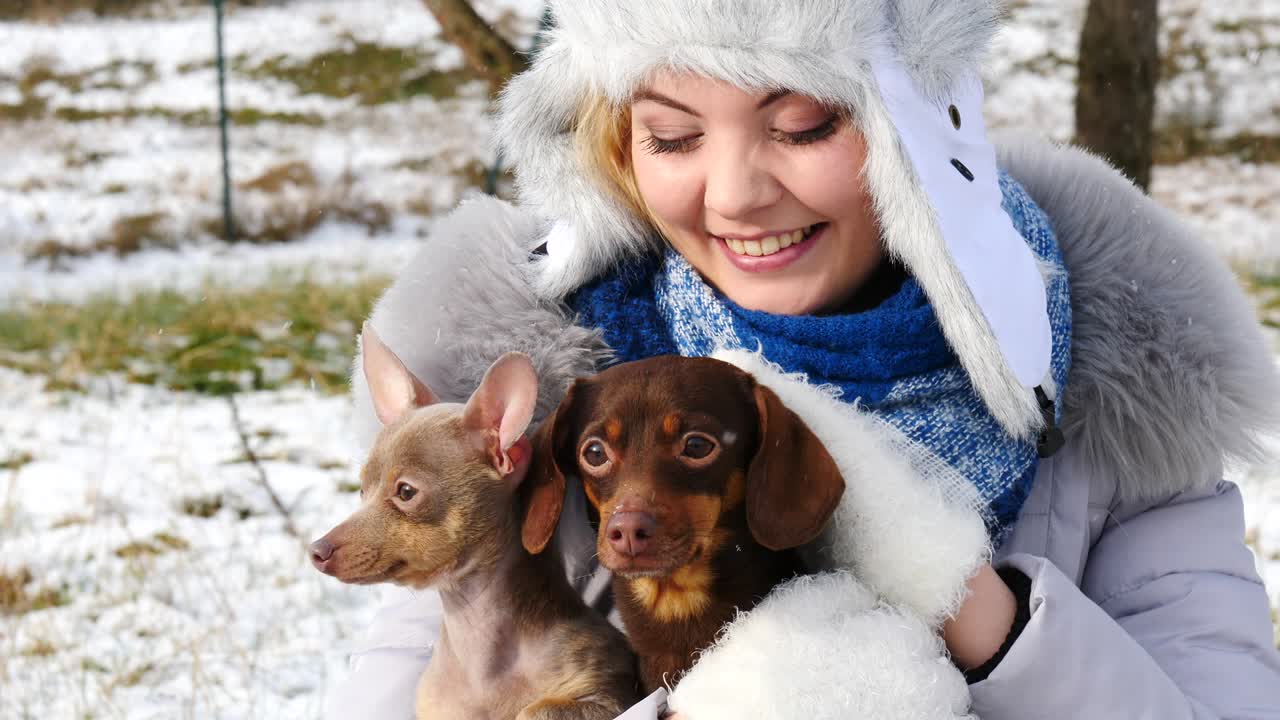 여자 는 겨울 밖 에서 작은 개 들 과 함께 놀고 있다