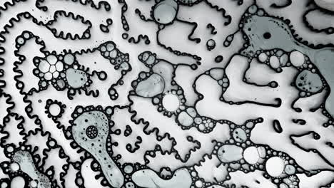 abstract macro shot of black and white liquid patterns forming intricate organic shapes