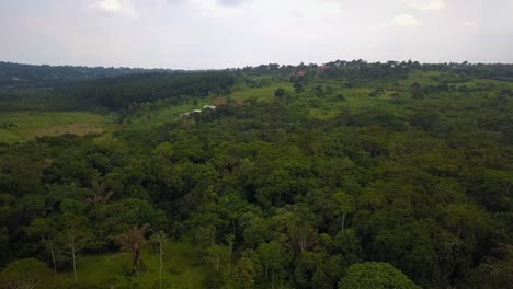 lush forest and farm in mukono, uganda - aerial drone shot