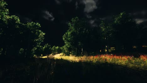 thunderstorm clouds with lightning in green meadow