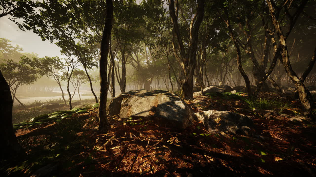 árboles boscosos iluminados por la luz dorada del sol