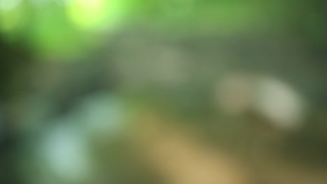 river stream in forest blurred art video background