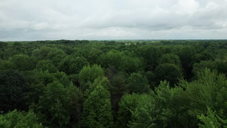 Flying-Low-Over-Tree-Plantation,-Peaceful-Green-Landscape,-Ohio,-USA