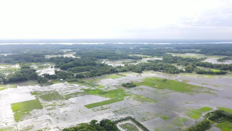 aerial flying over flooded rice paddy fields in barisal region of bangladesh due to rising climate change