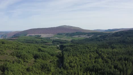 an aerial shot over the forests with the wicklow mountains in the background during a sunny day with blue skies-2