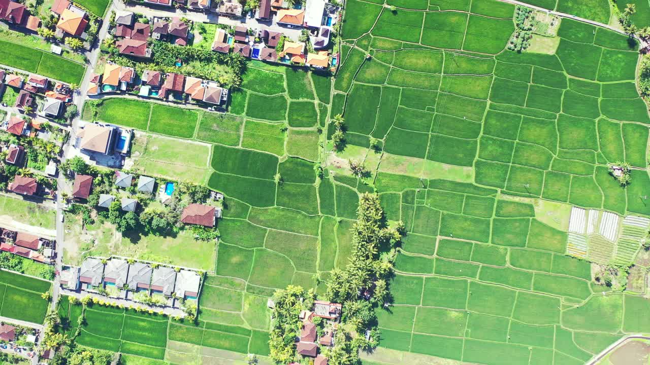 위에서 본 마을 집들 사이의 작은 농업 농장의 녹색 소포, 인도네시아의 차 농장 풍경