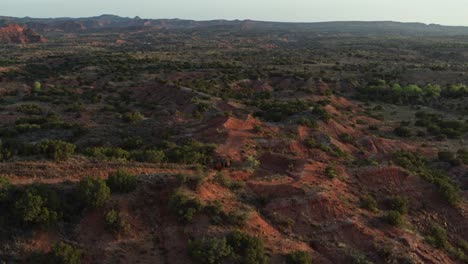 Bison-herd-running-through-a-canyon-at-sunset