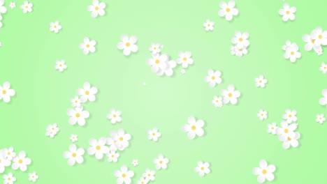 crecimiento de fondo floral, aparición de flores de papel, patrón botánico, ramo redondo de novia, artesanía de papel, animación en 4k