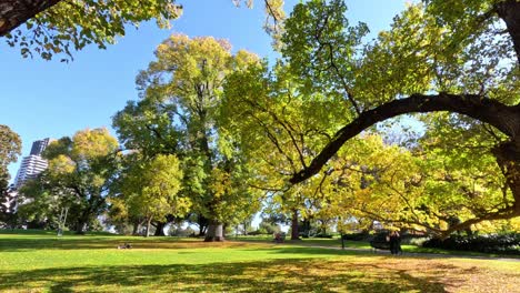 people enjoying a sunny day in the park