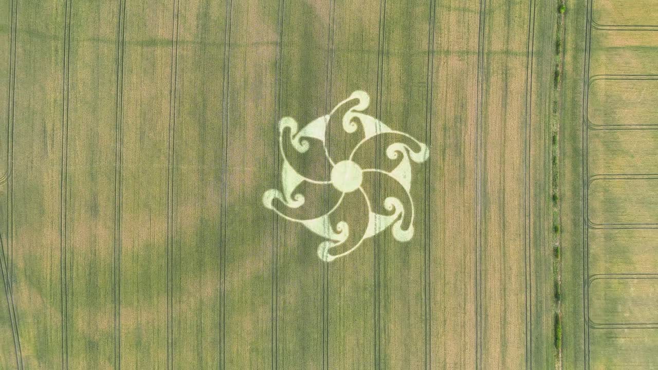 에치햄튼 만달라 디자인 곡물 서클 (crop circle) - 위틀셔 (wiltshire) 의 밀  (wheat field) 에 대한 조류 눈 (bird's eye)