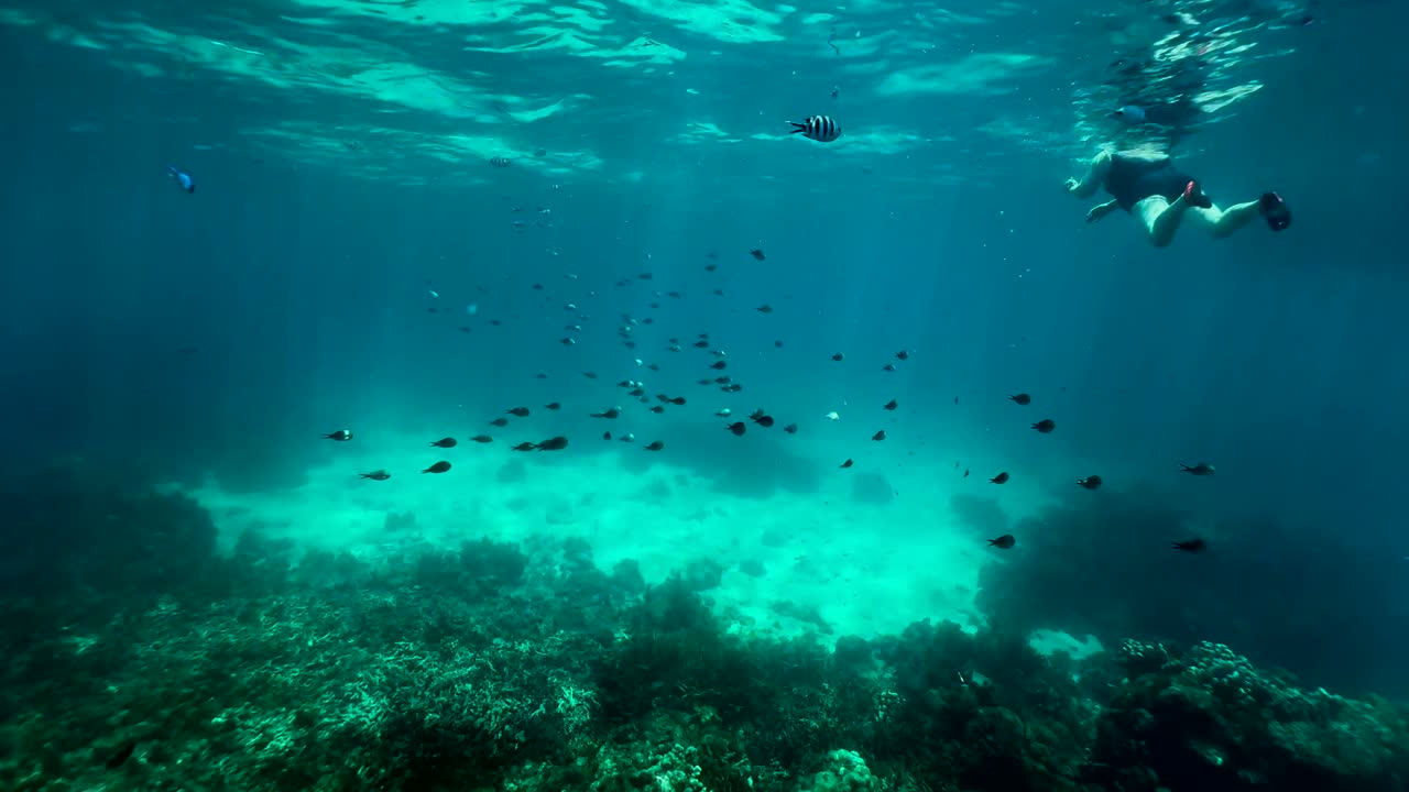 Senior snorkeler explores the underwater world in Zanzibar, Tanzania.