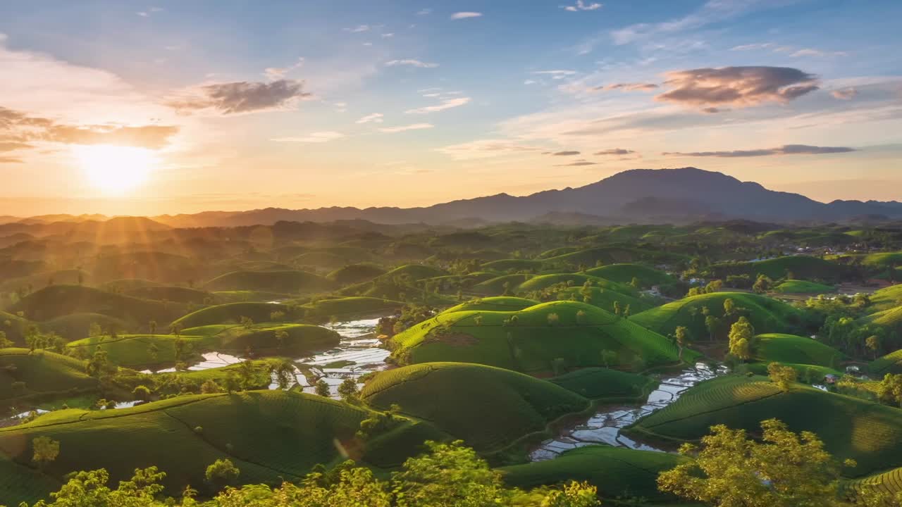 Drone video capturing green rolling tea hills glowing in sunset light, with reflective water patches between plantations and mountain silhouettes under a golden sky.