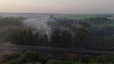 slow cinematic aerial rotation drone flight of burnt farmlands and trees after sunrise. scorched land early morning.