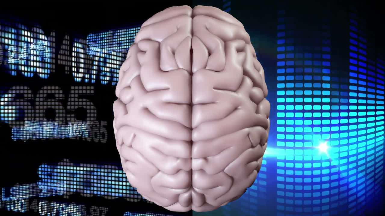 데이터 재정 및 빛 효과에 대한 뇌의 상부의 애니메이션