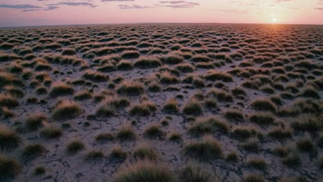 Aerial view of a vast desert landscape at sunset, showcasing scattered tufts of grass