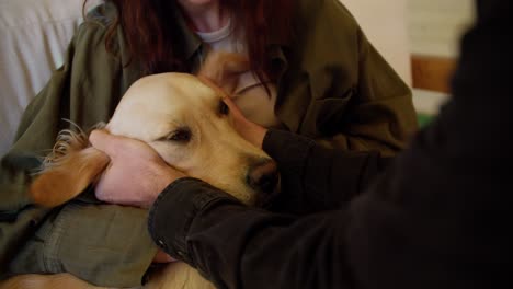 close-up shot of a couple of a brunette guy and a brunette girl in a green jacket interacting and stroking a dog light coloring