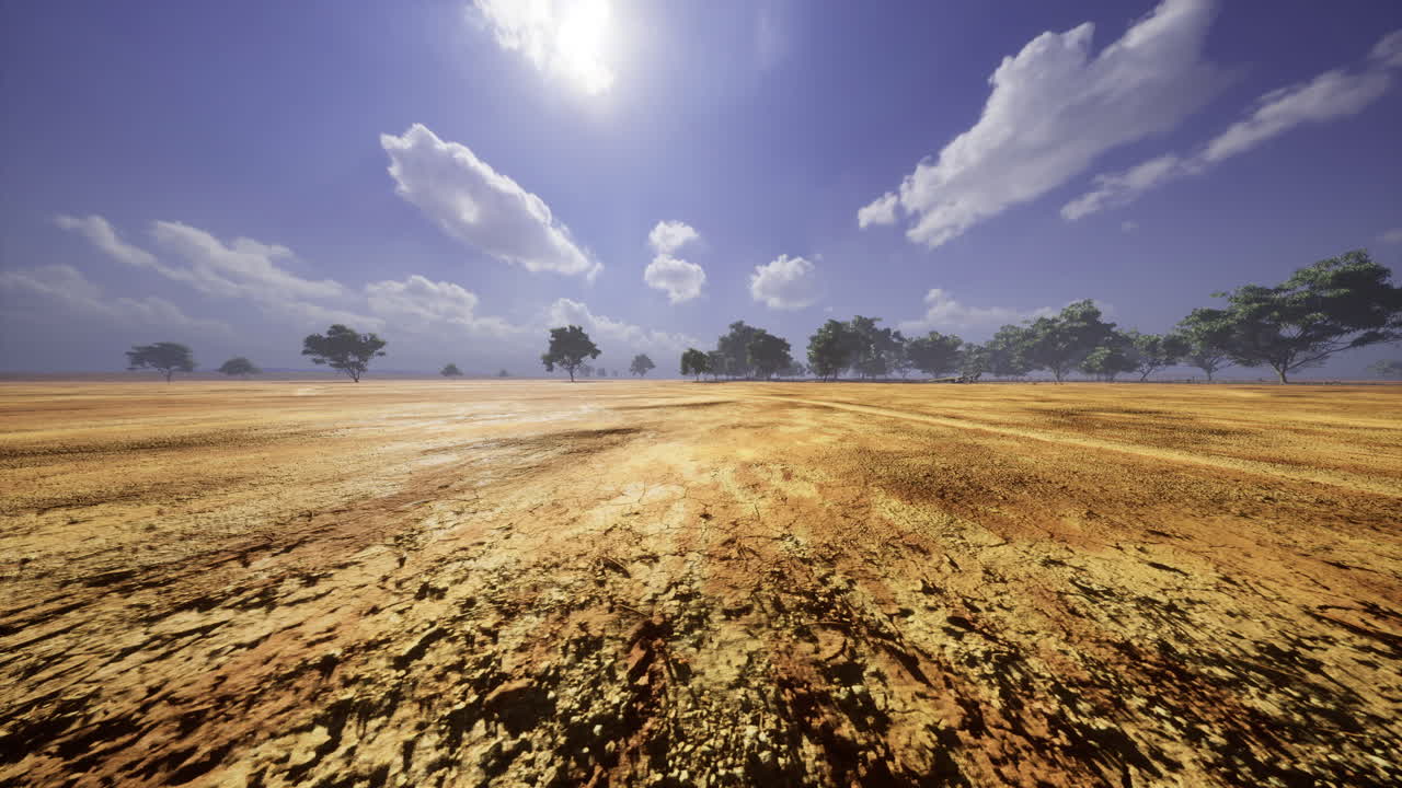 Dry desert landscape under bright sky with scattered trees and fluffy clouds