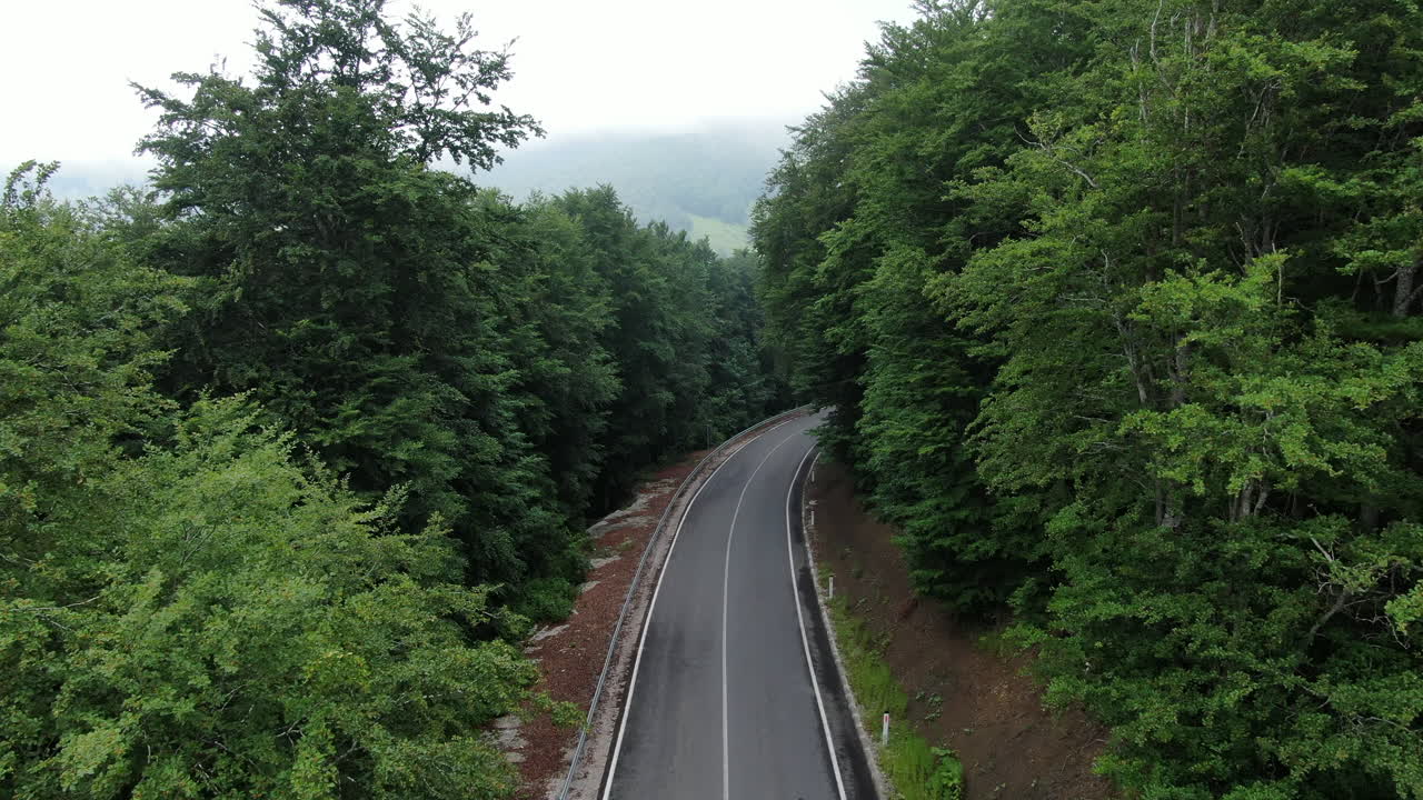 A road winds through a forest Trees line each side of the road In the distance hills fade into the mist The scene evokes a sense of tranquility and journey