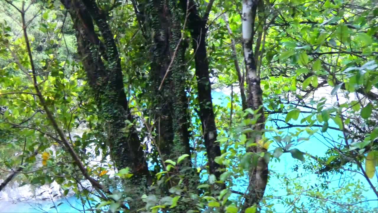 caminata lenta a través del prístino bosque de podocarpos con destellos de espectaculares aguas turquesas del desfiladero del río - caminata por el desfiladero del río hokitika, costa oeste