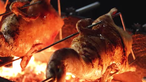 duck slowly roasts on a spit over glowing coals.