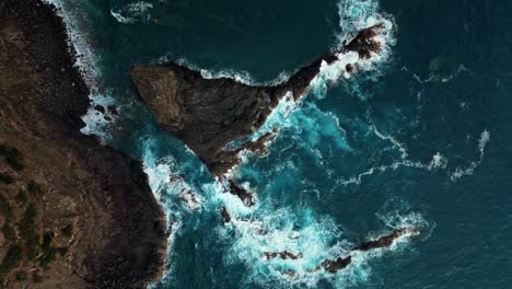 immerse yourself in the raw beauty of the atlantic ocean as waves crash against the rugged rocks of madeira island, portugal.