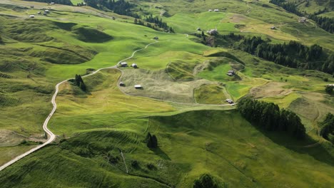 beautiful green alp in the mountains with green trees and meadows, dolomites, italy, europe, drone