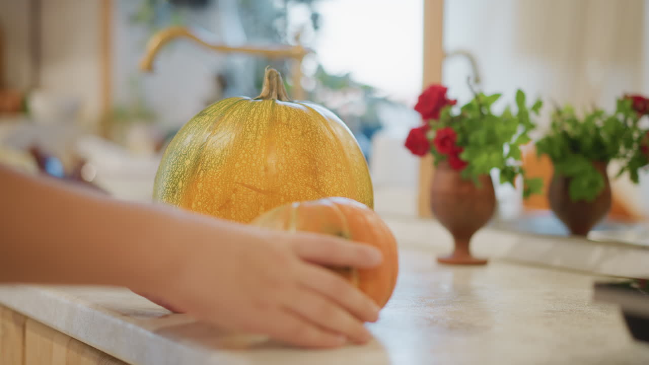 Dynie na kuchennym blacie w domu. Ręce domowego kucharza delikatnie toczą małą dynię w stronę dużej, obok zioła w doniczce. Ciepłe światło słoneczne wpada przez okno, a w tle widać rustykalny kran i zlew. Sezonowe zbiory.