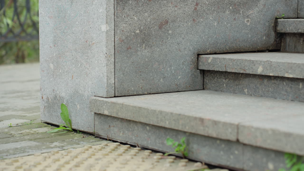 worn concrete steps with weeds, closeup of urban entrance showing tactile paving, moss and small green shoots emerging from cracks, muted morning light, empty walkway, subtle texture and slow pan