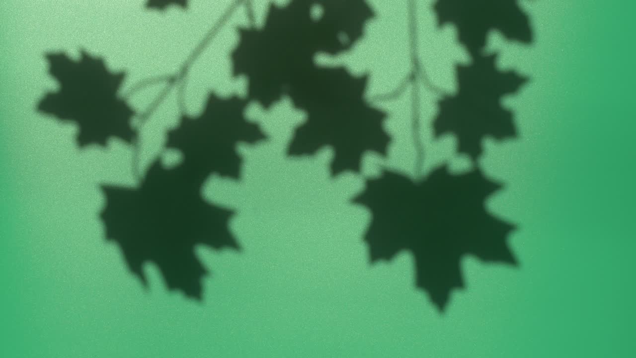 Abstract nature background of leaves shadow silhouette on wall moving by wind